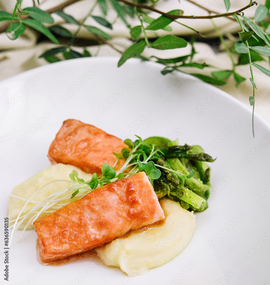 salmon steaks with mashed potatoes on white plate