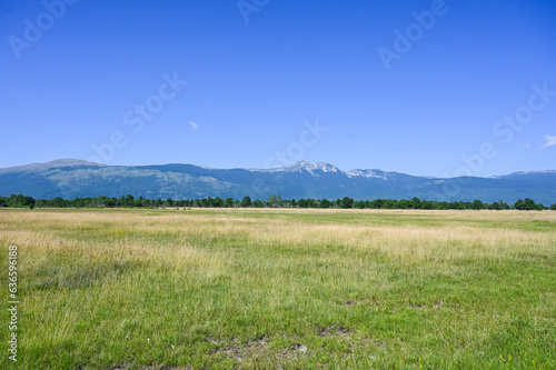 Livanjsko polje, Bosnia and Herzegovina. Field in summer.  photo