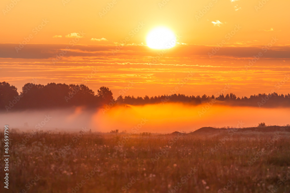 Foggy meadow at sunset Foggy meadow at sunset