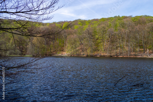 Lake in the Soderasen National Park photo