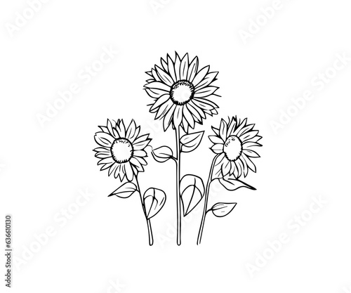 Sunflower background. sunflower vector art.  
