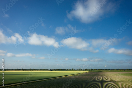 The fields of the Noordpolder in the province of Groningen in the early spring light photo