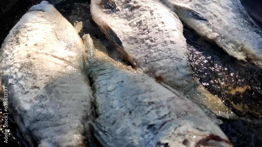 Fried carp in a pan. Boiling oil in slow motion. Fresh fish is cooked on the fire. Fried carp in a pan. Boiling oil in slow motion. Fresh fish is cooked on the fire.