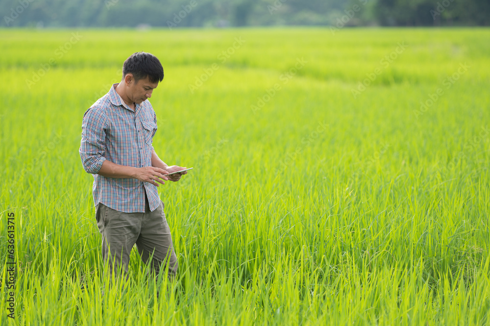 An Asian farmerUsing a Tablet in an Agriculture Field An Asian farmerUsing a Tablet in an Agriculture Field