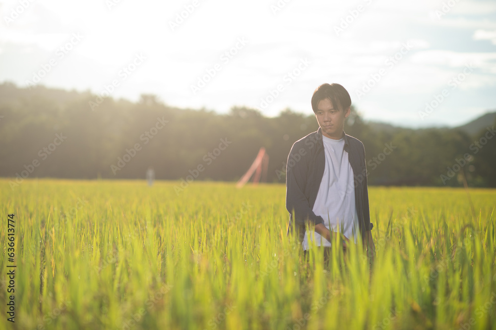 young Asian farmer examines rice on field