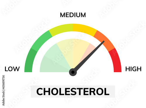 Cholesterol meter test level icon. Low high cholesterol health check control illustration. Blood test rating fat symbol.