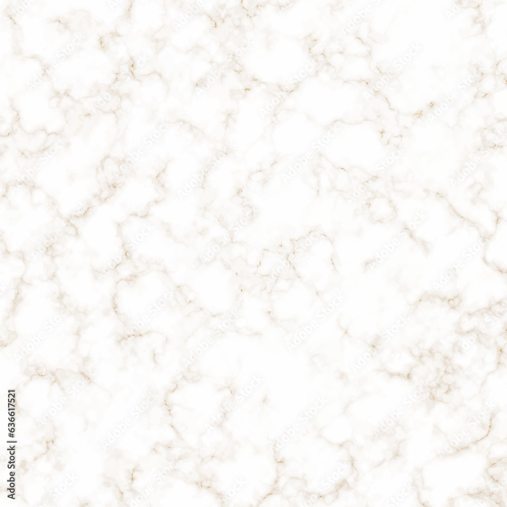 white panorama marble texture. abstract light elegant white for floor ceramic counter texture stone slab smooth tile gray silver natural.