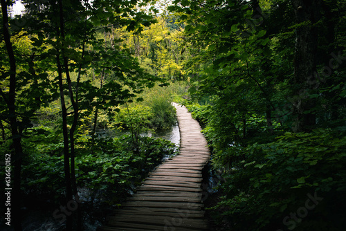 Chemin en bois sur Slovenia, Triglav Parc National. National Park of Triglav in Slovenia, wooden path.