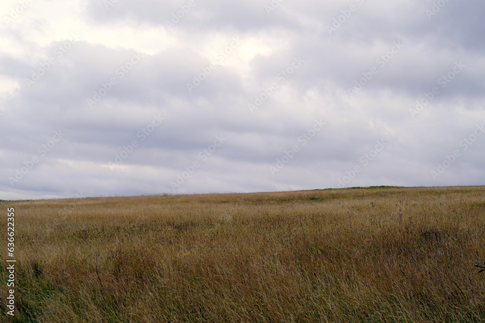 Panoramic view of a hay field ascending gently to the horizon under a moody overcast sky.