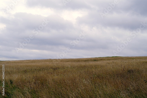 Panoramic view of a hay field ascending gently to the horizon under a moody overcast sky.