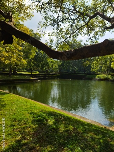 pond in ancient city 