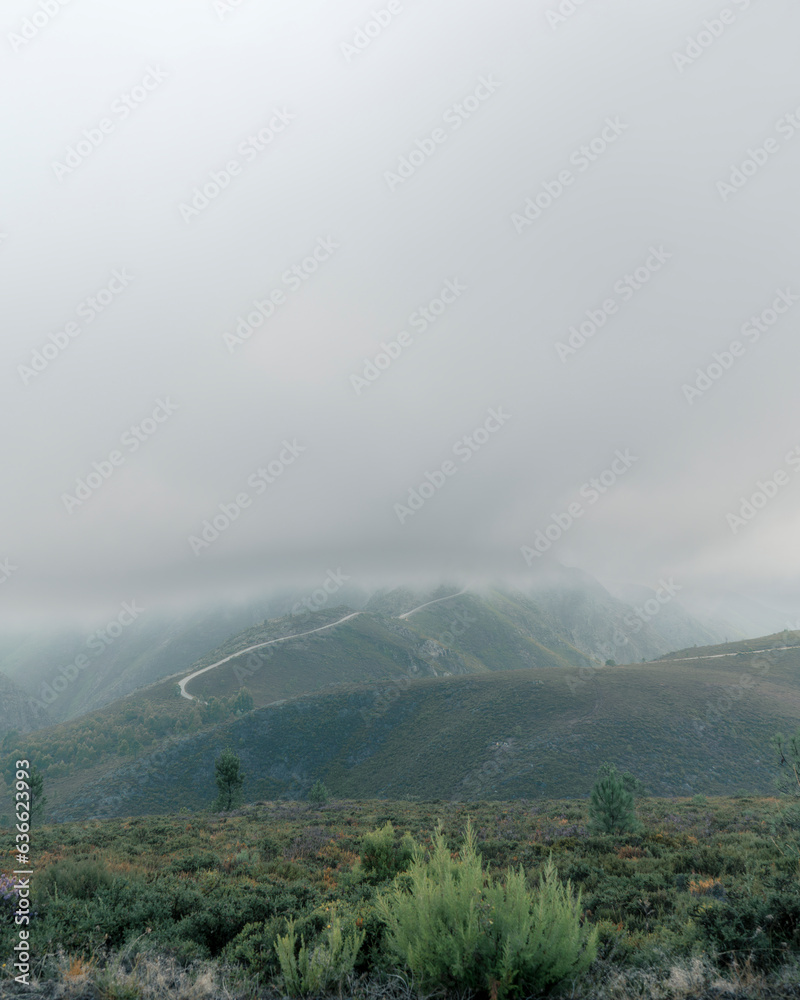 landscape in the fog mountains