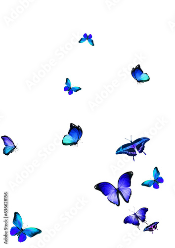 Photography Set of butterflies on transparent background