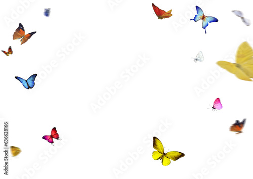 Set of butterflies on transparent background. Butterfly with different colors isolated. Realistic butterflies postcard card frame Collection of multicolored butterflies