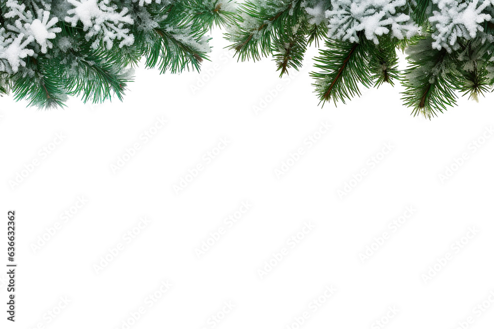 border of isolated green Christmas tree branches at the edge on transparent background with sparkling white snowflakes on white background with copy space PNG border of isolated green Christmas tree branches at the edge on transparent background with sparkling white snowflakes on white background with copy space PNG