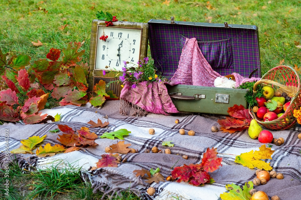 Autumn picnic for children in nature. Autumn picnic in the park. Active ...