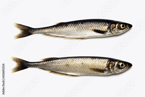 Two dried sardines on white background.