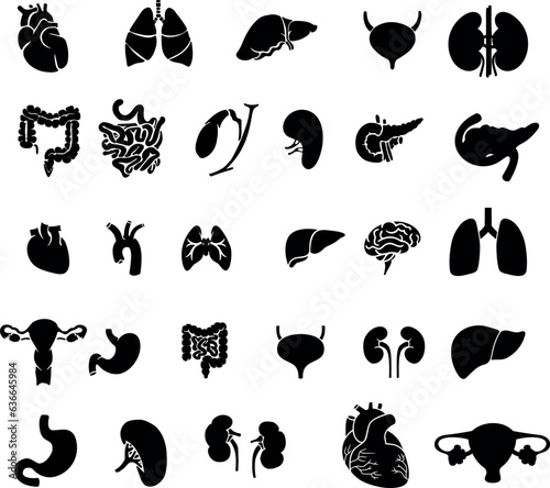 Digestive Health System Parts Silhouette, Human Body Parts, Digestive Parts Silhouettes Set 1