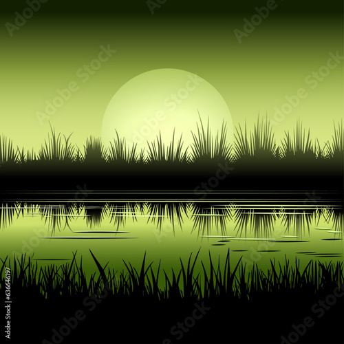 Realistic vector illustration of a pond overgrown with vegetation in the mysterious light of the rising moon
