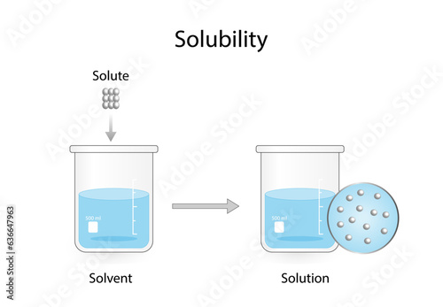 Solutions. Solubility homogeneous mixture. Solute, solvent and solution. Dissolving solids. Chemistry. Educational diagram. Conical flask, isolated on white background. Vector illustration.