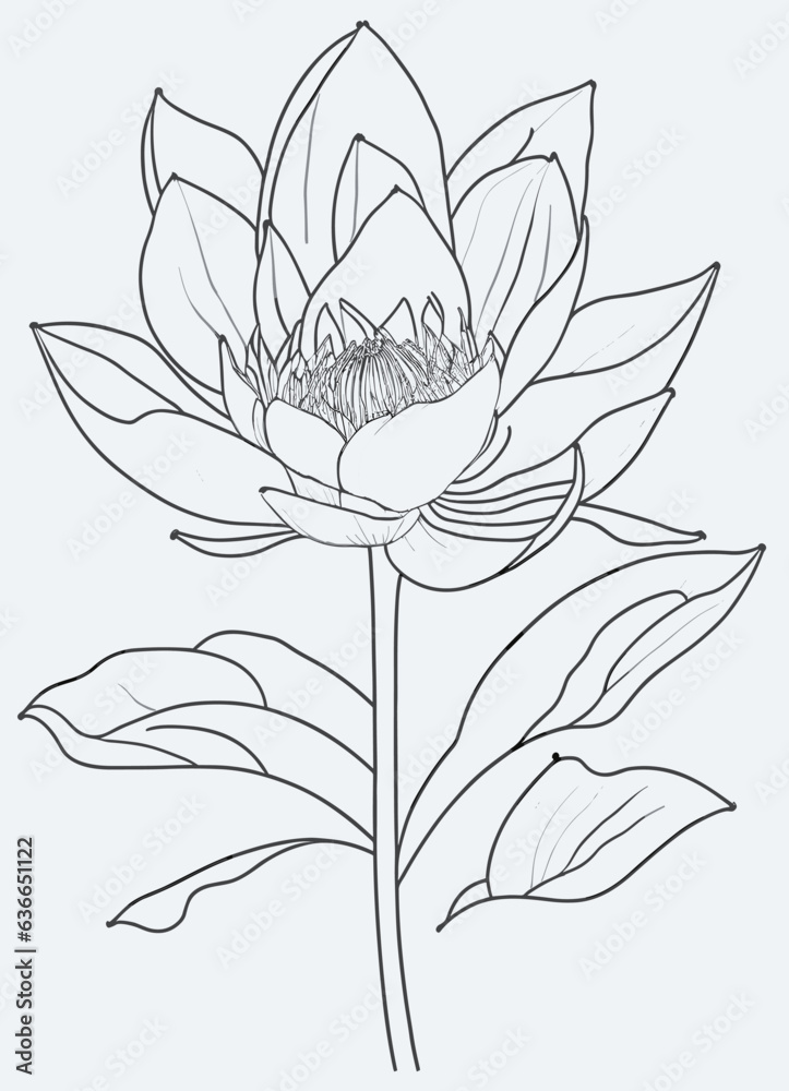 Line Art of one Lotus vector illustration, flower for Jogi