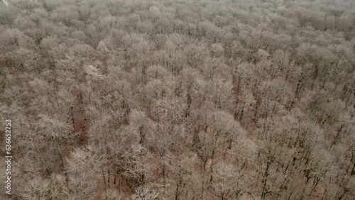 Drohnen Video, Deutscher Wald im Winter ohne Schnee photo