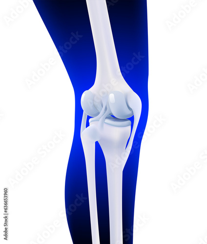 3D illustration of posterior ligament of human knee bone on dark blue leg silhouette background. Used in medicine, education, science and industry.