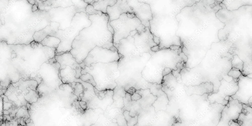 Natural stone Marble white background wall surface black pattern. White and black marble texture background. Luxurious material interior or exterior design.	
