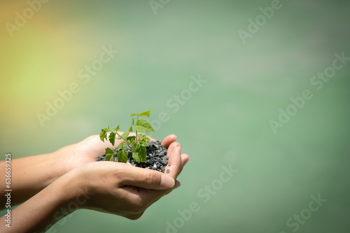 hands holding a plant © Venij