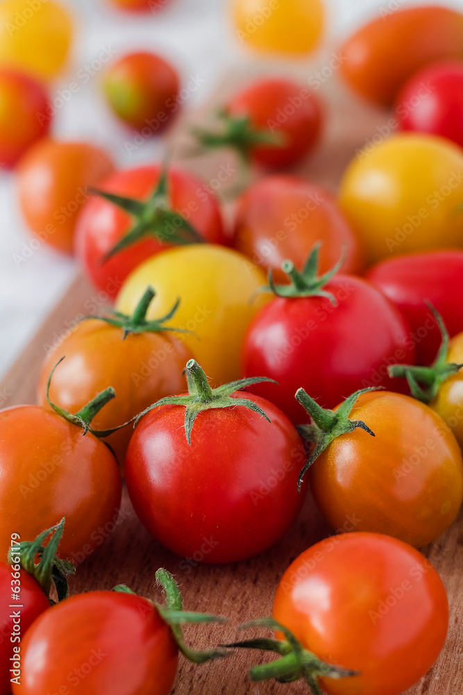 Fresh harvest of yellow and red tomatoes.