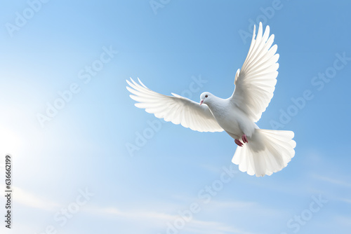 A single dove in flight against a clear sky