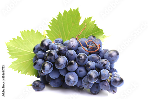 Bunch grape isolated 
