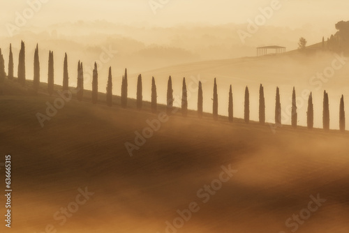Foggy landscape and silhouette of cypress alley  at farmhouse Poggio Covili in Val d'Orcia, Tuscany, Italy