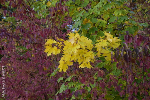Farben