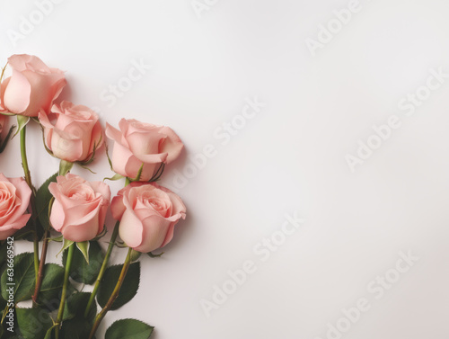 Rose flower on white background from top view with copy space