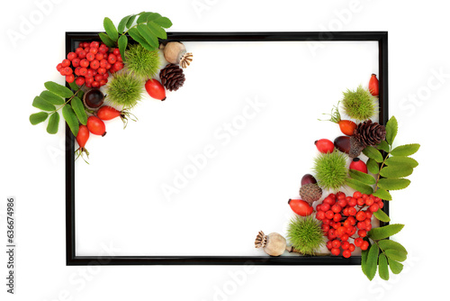 Autumn harvest festival background border with berry fruit and nuts with black frame on white. Festive floral Fall Thanksgiving nature concept for label, card, invitation, menu.