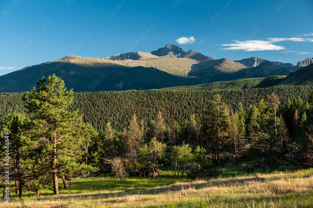Vast Forest Stretches Out Below Longs Peak Vast Forest Stretches Out Below Longs Peak