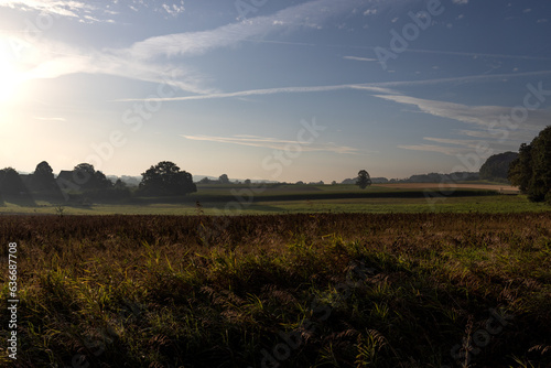 Wide field at sunrise in Germany