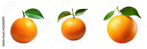 Tangerine alone