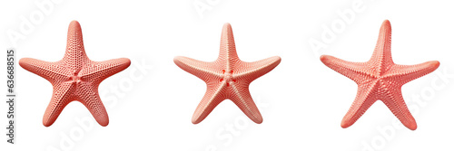 Sea star on transparent background © TheWaterMeloonProjec