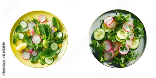 Colorful healthy summer meal showcasing fresh vegetables like radish lettuce and cucumber on a black plate Professionally styled with a lemon slice on top