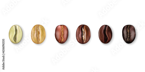 Coffee seeds. Realistic beans, barista espresso or arabica process, organic dark cafe. Isolated green and brown elements. Espresso or americano ingredient, roasting stages. Vector 3d concept