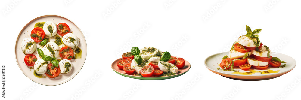 Vegetarian European dish with mozzarella oregano mint and tomatoes Vegetarian European dish with mozzarella oregano mint and tomatoes
