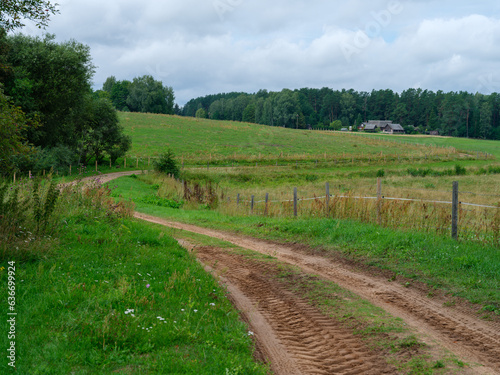 gravel country road in green summer fields