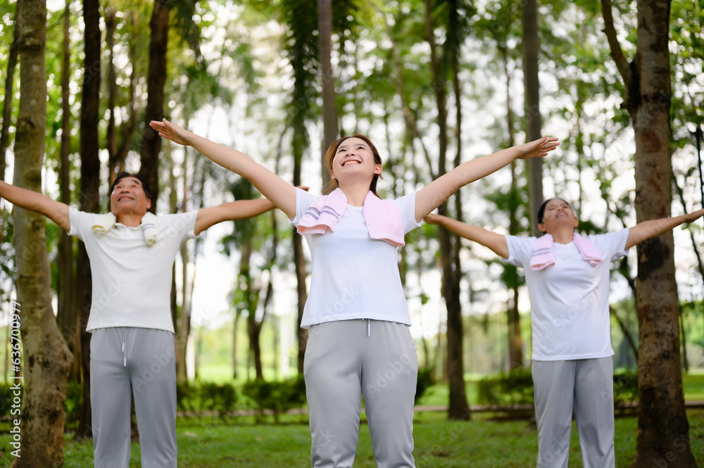 Daughter Joins Senior Parent for Heartwarming Exercise in Green Public Park, Senior Parent Exercise and Bonding Moments with Daughter, Supportive New Generation, Health Care in Retirement or Old Age. Daughter Joins Senior Parent for Heartwarming Exercise in Green Public Park, Senior Parent Exercise and Bonding Moments with Daughter, Supportive New Generation, Health Care in Retirement or Old Age.