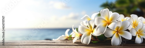 A bunch of franginani flowers sitting on top of a wooden table, sea view behind. Panoramic banner. © Friedbert