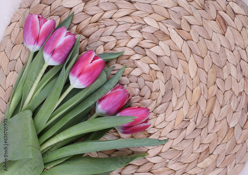  Bouquet of pink tulips. Mothers day, Valentines Day, Birthday celebration concept. Greeting card. Copy space for text, top view