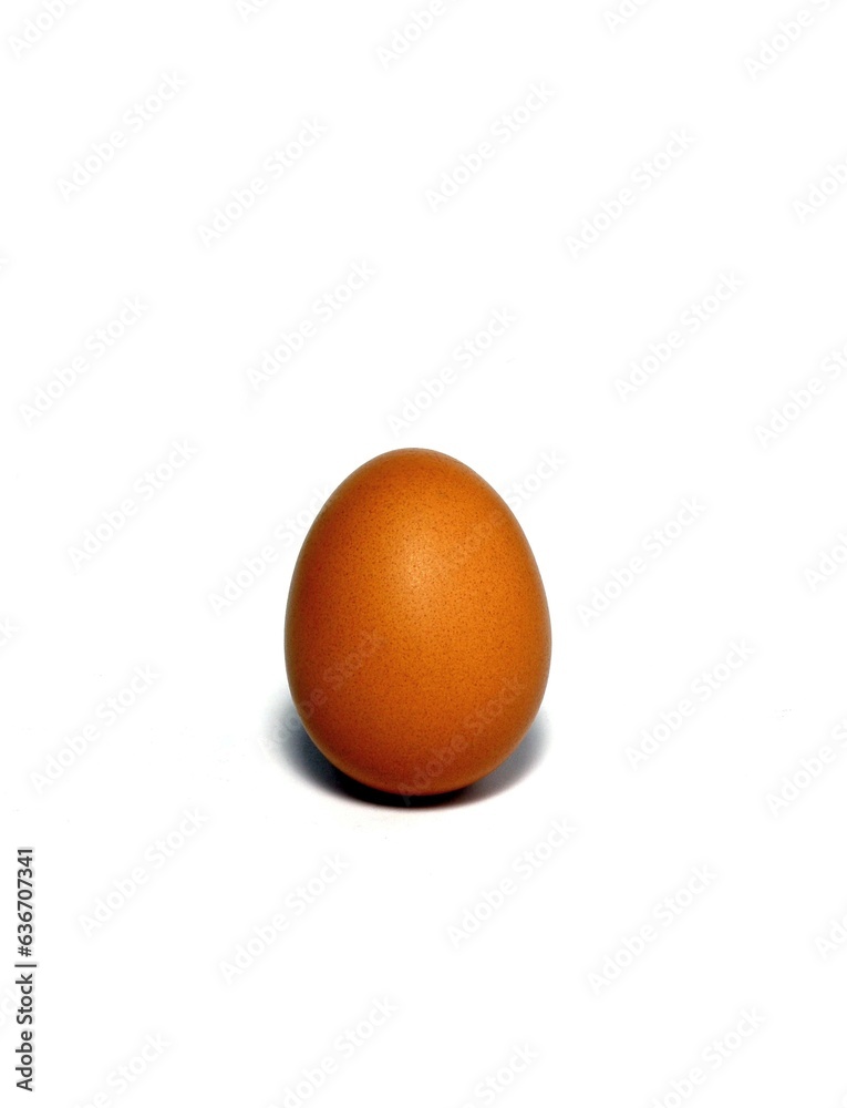 Image of a brown chicken egg on a white background. Image of a brown chicken egg on a white background.
