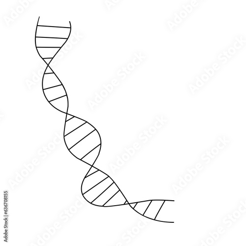 hand drawn DNA spiral