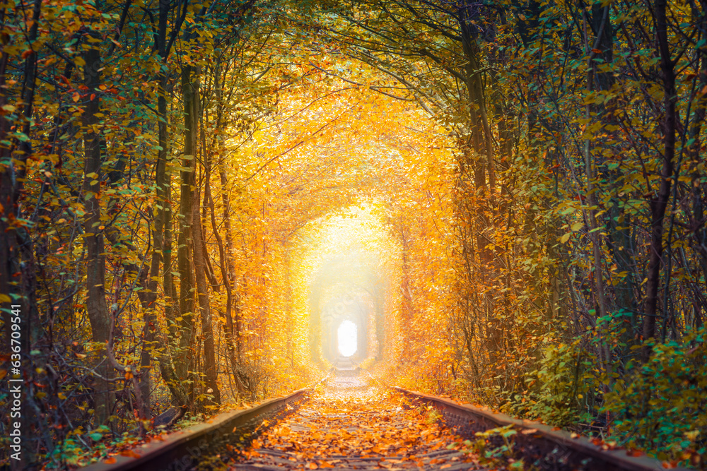 Fall season landscape - Fantastic Autumn Trees Tunnel with old railway - Tunnel of Love. Natural tunnel of love formed by trees.